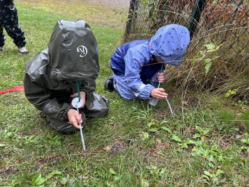 Vi lar oss ikke stoppe av øs-pøs-regn når vi er på jakt etter insekter og småkryp